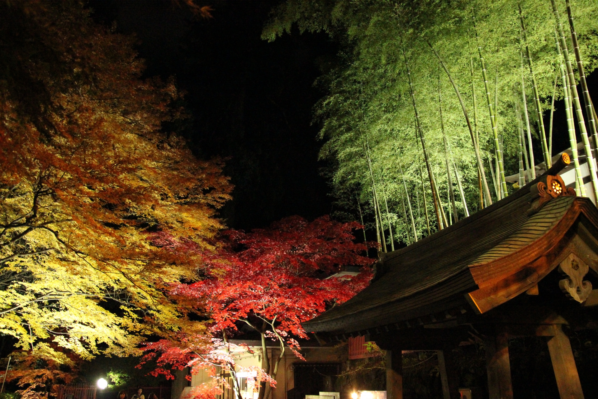 仙台　瑞鳳殿　紅葉ライトアップ